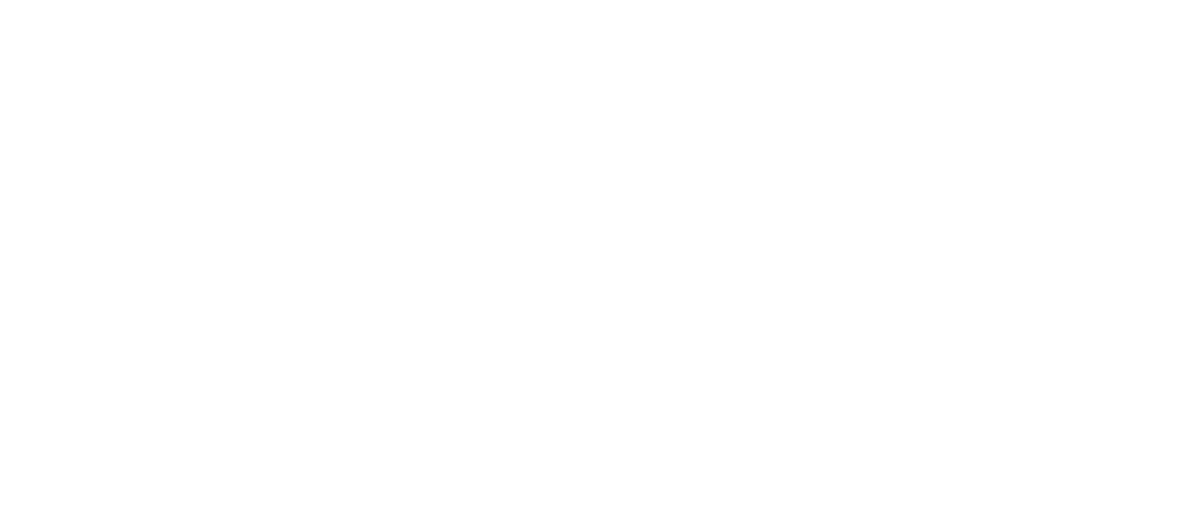 Associação Portuguesa de Segurança (APSEI) - Associado nº350